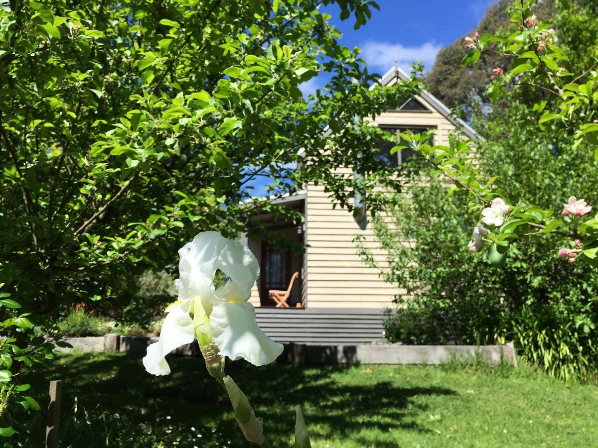 Brigadoon Cottages Haunted Hills Luaran gambar